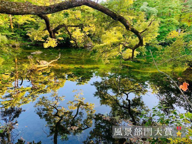 風景部門 大賞🎖

水面に映る緑が輝くような1枚
photo by 宮城 結衣